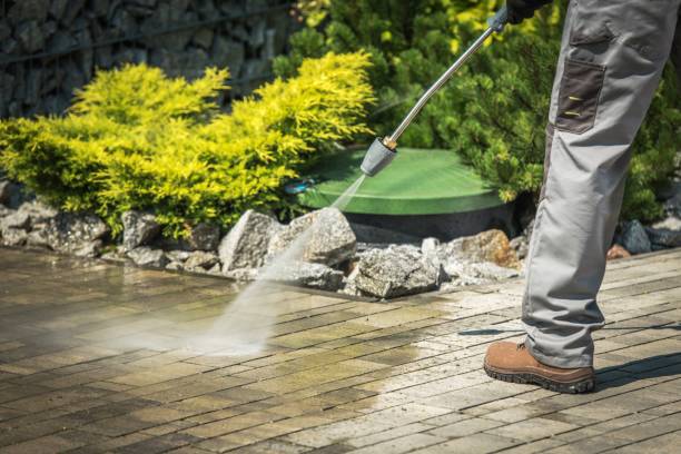 Best Dumpster Area Cleaning  in Lacoochee, FL