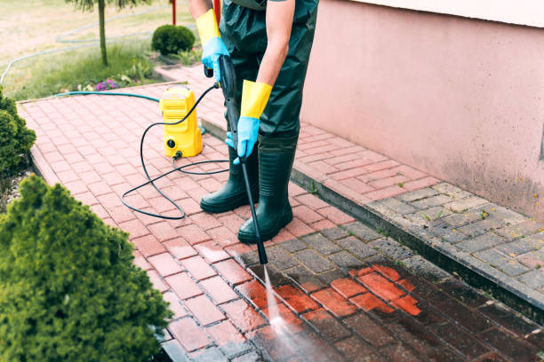 Trusted Lacoochee, FL Pressure Washing Services Experts