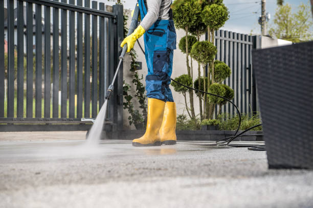 Best Fleet Vehicle Washing  in Lacoochee, FL