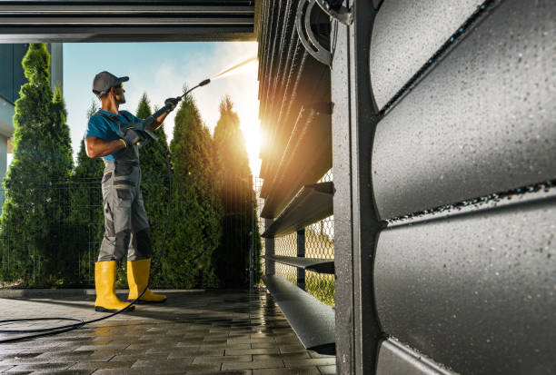 Animal Enclosure Cleaning in Lacoochee, FL