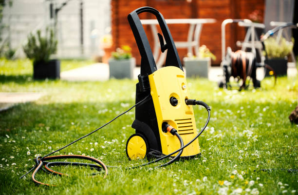 Best Soft Washing  in Lacoochee, FL